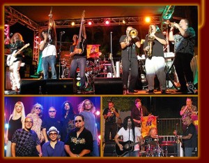 Color My World Chicago Tribute Band
